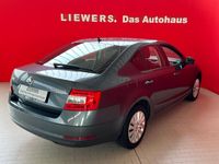 gebraucht Skoda Octavia 1,6 TDI Ambition DSG