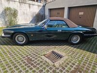 gebraucht Jaguar XJS Cabrio guter Zustand mit gültigem Pickerl
