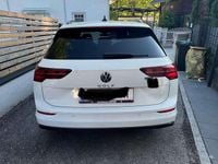 Gebraucht VW Golf VIII Life 116 PS (85 kW) 2021 Weiß Kombi