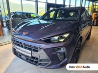 Gebraucht Cupra Terramar VZ 272 PS (200 kW) 2025 Violett SUV