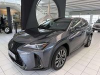 gebraucht Lexus UX 300h F-Sport