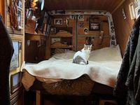 Gebraucht Iveco Daily 145 PS (106 kW) 2012 Weiß Van