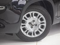 gebraucht Fiat Panda 4x2 FireFly Hybrid 70 Pandina