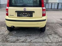 Gebraucht Fiat Panda Active 54 PS (39 kW) 2009 Kleinwagen