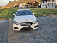 gebraucht Mercedes E220 T Avantgarde CDI Aut./ AMG Paket/ Harman Kardon