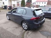 gebraucht VW Golf VIII 2,0 TDI *LED*ACC*SHZ*