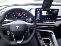 Neu Cupra Terramar 204 PS (150 kW) 2025 Weiß SUV