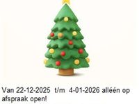 gebraucht Renault Scénic 2.0-16V Expression * AIRCO NIEUWE APK TREKHAAK