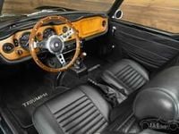 gebraucht Triumph TR6 