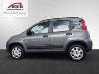 Gebraucht Fiat Panda 4x4 Wild 84 PS (61 kW) 2020 Grau Kleinwagen