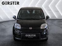 gebraucht Fiat Panda 4x2 FireFly Hybrid 70 Pandina