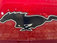 gebraucht Ford Mustang Mach-E Elektro First Edition First Edition