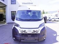 Gebraucht Fiat Ducato 85 kW (116 PS) 2024 Weiß Van