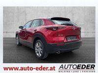 gebraucht Mazda CX-30 G122 Comfort+ Aut.