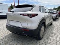 Neu Mazda CX-30 Homura-Line 140 PS (102 kW) 2025 Weiß SUV