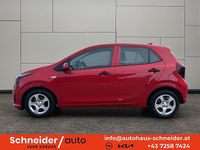 Neu Kia Picanto 68 PS (50 kW) 2026 Kleinwagen
