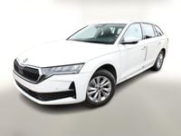 Neu Skoda Octavia Selection 150 PS (110 kW) 2026 Kombi