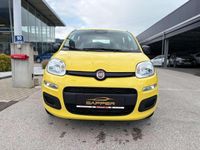 gebraucht Fiat Panda 4x2 FireFly Hybrid 70 Pandina