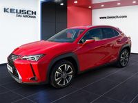 gebraucht Lexus UX 250h Style Edition