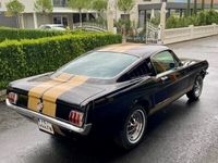 gebraucht Ford Mustang Fastback zu verkaufen