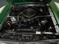 Gebraucht Ford Mustang 203 PS (149 kW) 1966 Dunkelgrün Cabrio