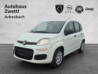 Neu Fiat Panda 71 PS (52 kW) 2026 Kleinwagen