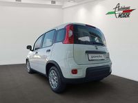 gebraucht Fiat Panda 4x2 FireFly Hybrid 70