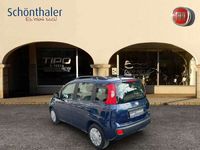 gebraucht Fiat Panda 12 69 Easy