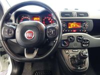 gebraucht Fiat Panda 4x4 09 TwinAir 85