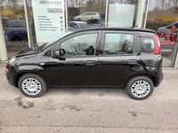 gebraucht Fiat Panda 4x2 FireFly Hybrid 70 Pandina