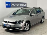 Gebraucht VW Golf VII Trendline 116 PS (85 kW) 2018 Grau Kombi