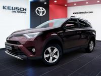 gebraucht Toyota RAV4 Hybrid 2,5 Hybrid Active 4WD SUV