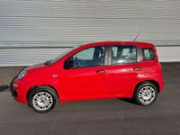 gebraucht Fiat Panda 1,2 70 Easy ID:93