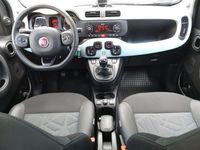 gebraucht Fiat Panda Cross City 1.0 MHEV Launch Edition