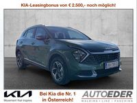 Gebraucht Kia Sportage Silver 160 PS (117 kW) 2025 Grün SUV