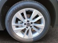 gebraucht VW T-Cross - Friends TSI