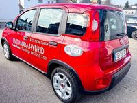 gebraucht Fiat Panda 1,0 FireFly Hybrid 70 Hybrid