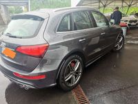 gebraucht Audi SQ5 plus 30 TDI quattro Tiptronic