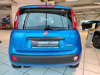 gebraucht Fiat Panda FireFly Hybrid 70 Icon