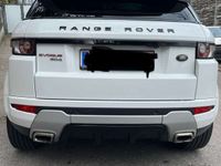 gebraucht Land Rover Range Rover evoque Dynamic 2,2 SD4 Aut.