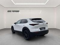gebraucht Mazda CX-30 e-Skyactive G122 Homura Aut.