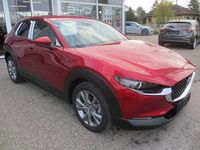 gebraucht Mazda CX-30 /G140/AT/Exclusive-Line