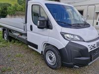 gebraucht Fiat Ducato 35+ (verstärkt) L4 BlueHDi 140 Pritsche