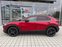 Neu Mazda CX-30 Homura-Line 140 PS (102 kW) 2026 SUV