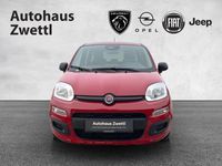 Neu Fiat Panda Icon 71 PS (52 kW) 2026 Schwarz Kleinwagen