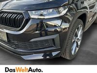 gebraucht Skoda Kodiaq 4x4 Sportline TDI DSG