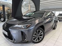 gebraucht Lexus UX 300h F-Sport