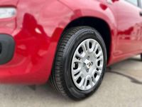 gebraucht Fiat Panda 1,0 FireFly Hybrid 70