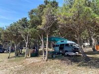 gebraucht VW T3 Syncro