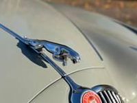 gebraucht Jaguar MK II 3.8